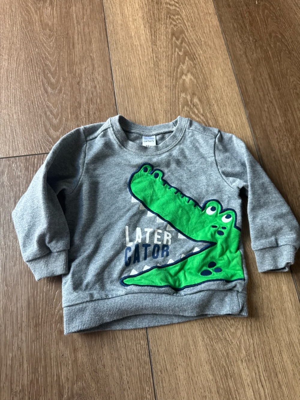 Carter's Gray Sweatshirt with Green Alligator Graphic
